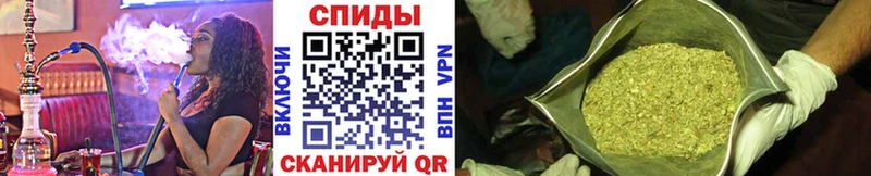 Купить где  Дмитровск  Бутират BDO 33% 