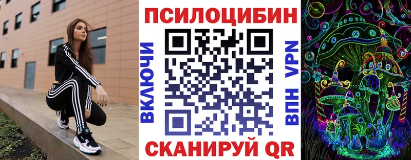 Псилоцибиновые грибы Psilocybine cubensis  Купить где  Дмитровск 